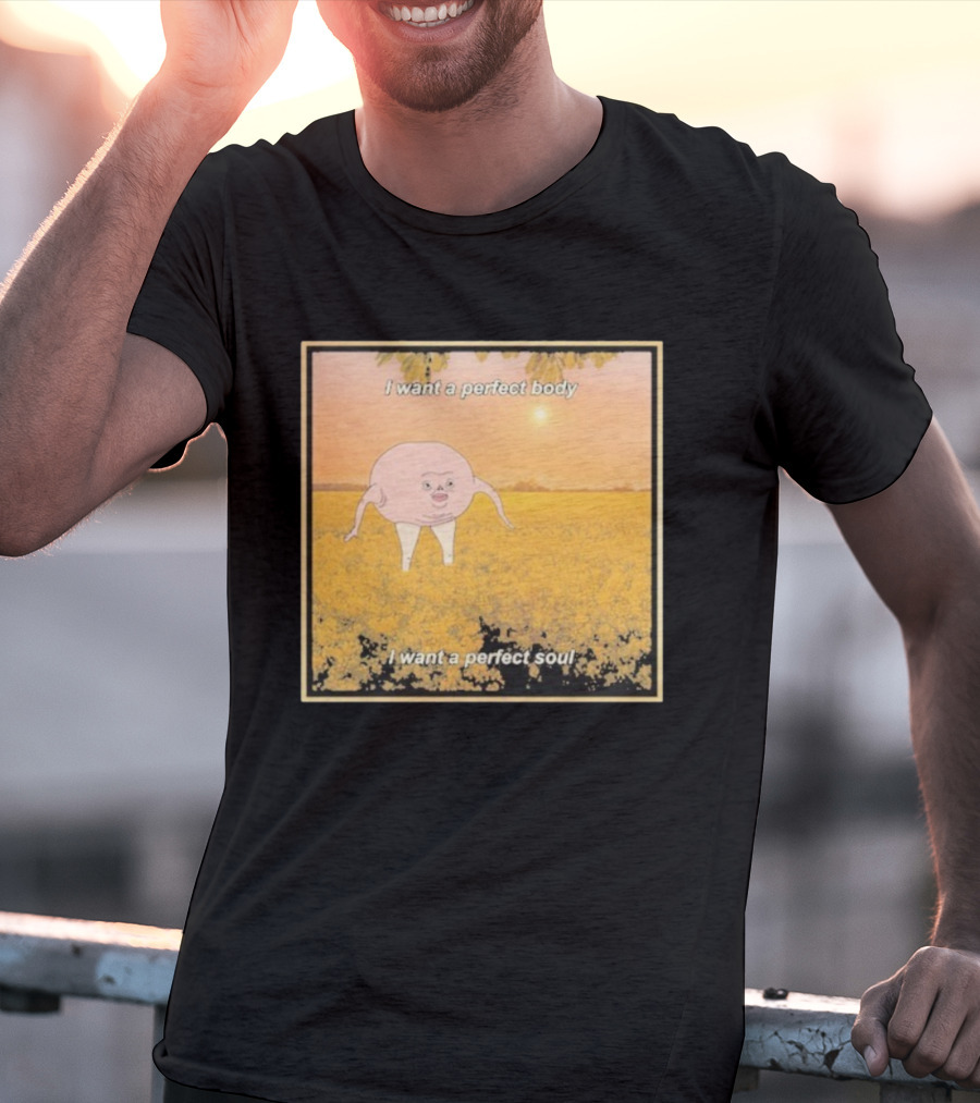 I Want A Perfect Body I Want A Perfect Soul Sunset Parody T-Shirt