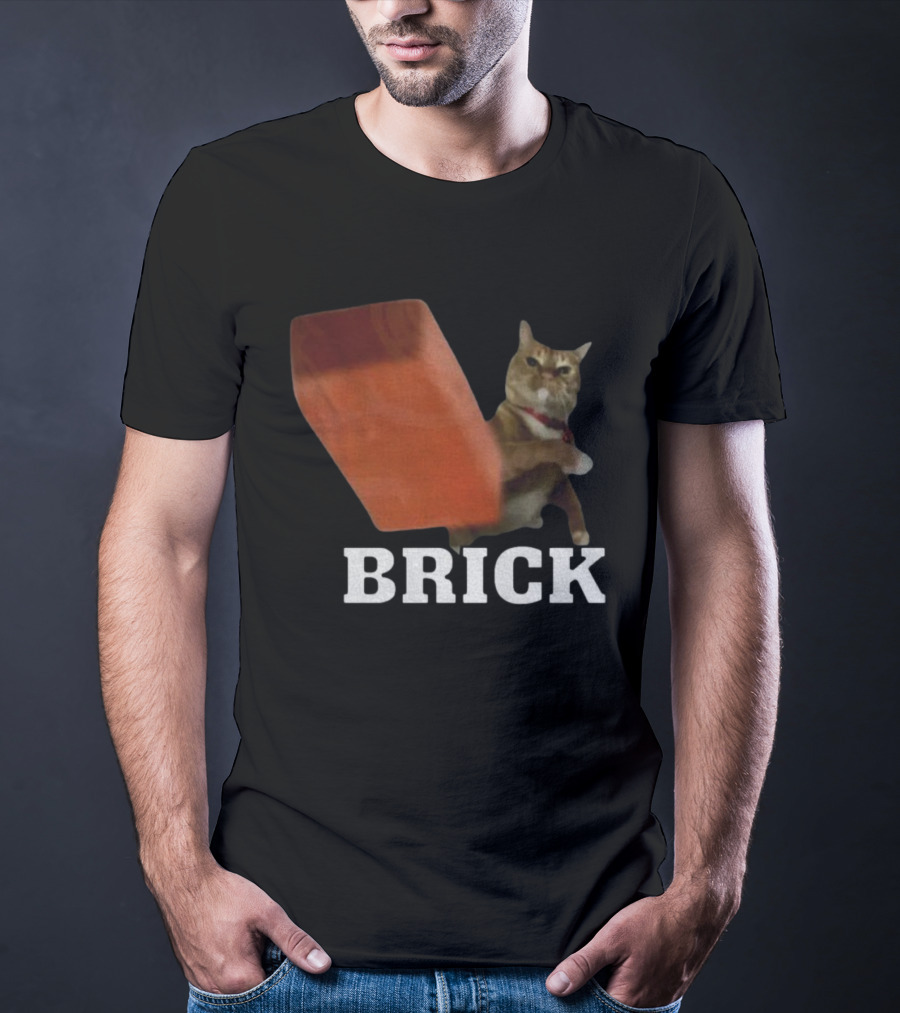 Funny Cat Brick Throw Meme T-Shirt