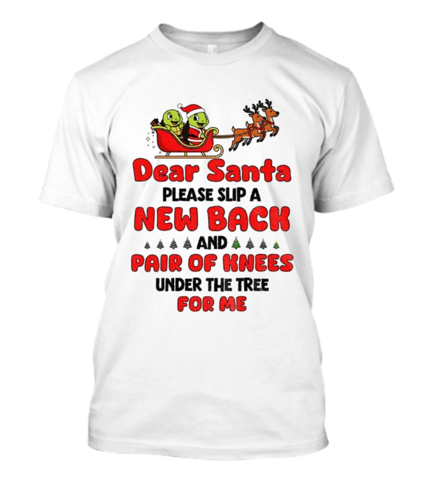 Dear Santa New Back Pair Of Knees Holiday Turtle Sleigh T-Shirt