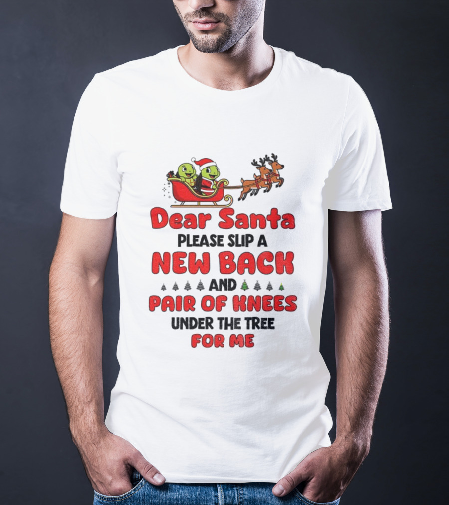 Dear Santa New Back Pair Of Knees Holiday Turtle Sleigh T-Shirt