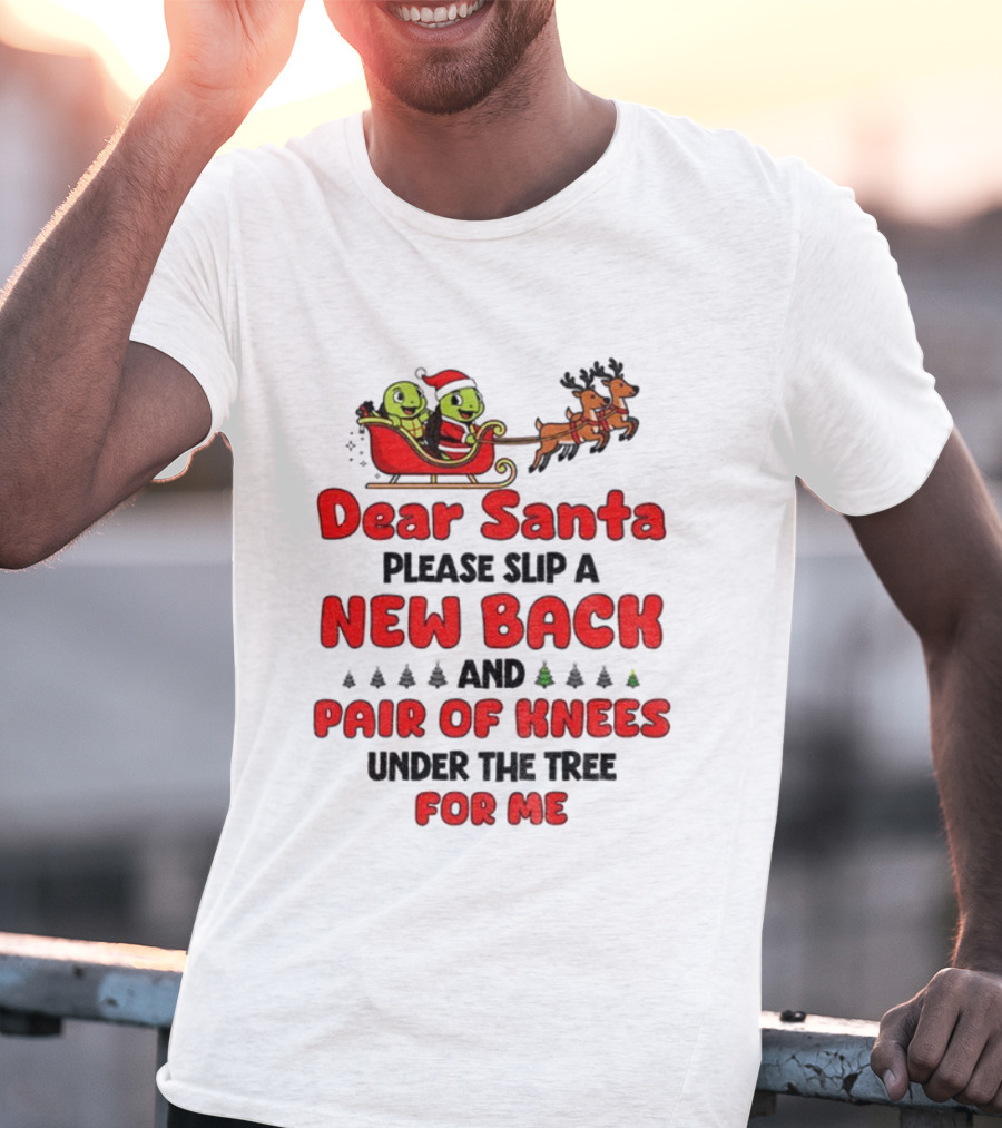 Dear Santa New Back Pair Of Knees Holiday Turtle Sleigh T-Shirt
