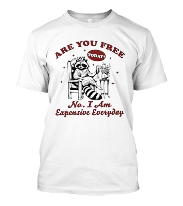 Are You Free Today No I Am Expensive Everyday Raccoon T-Shirt
