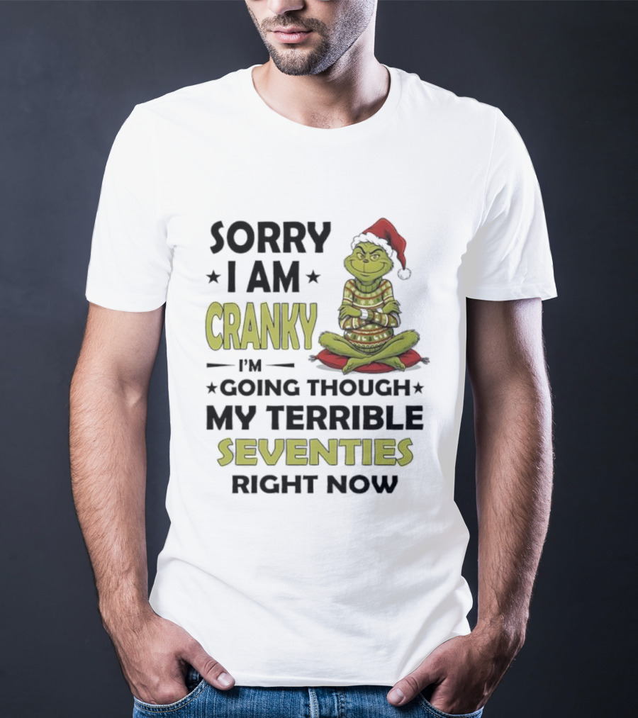 Sorry I Am Cranky Grinch Santa Hat Going Through My Terrible Seventies T-Shirt