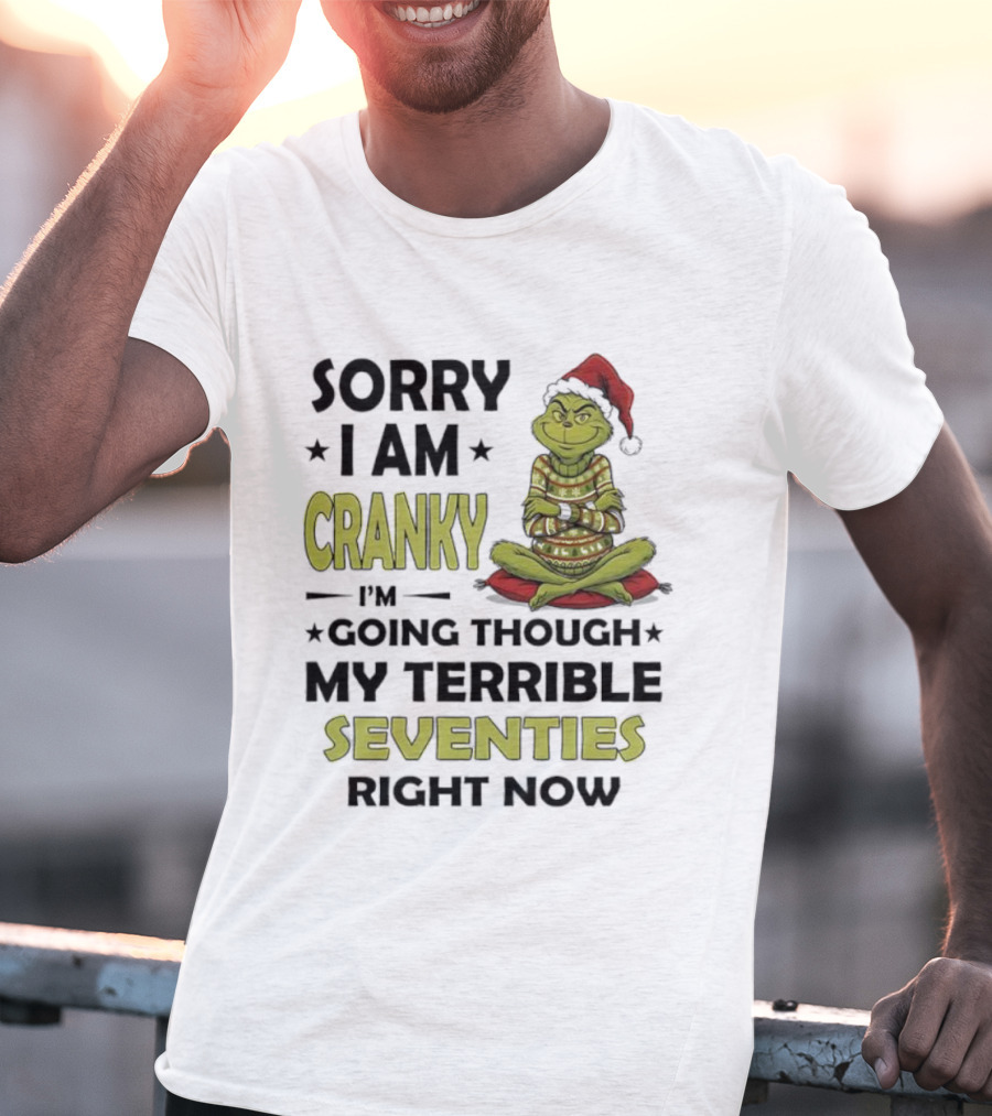 Sorry I Am Cranky Grinch Santa Hat Going Through My Terrible Seventies T-Shirt