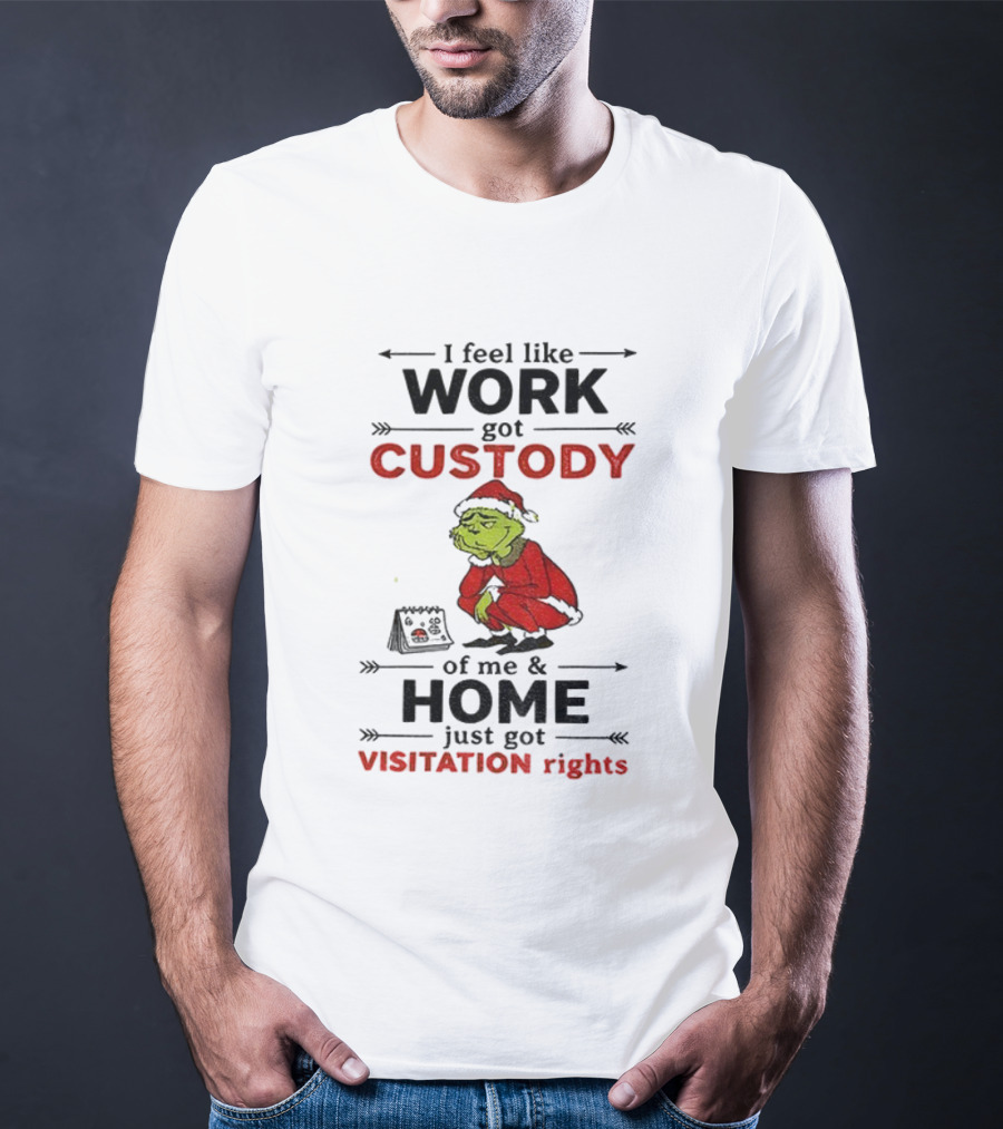 Grinch Santa Hat Work Got Custody Home Visitation Rights T-Shirt