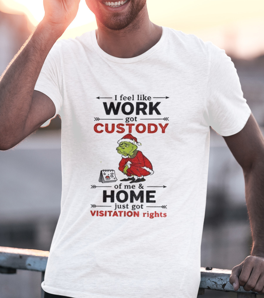 Grinch Santa Hat Work Got Custody Home Visitation Rights T-Shirt