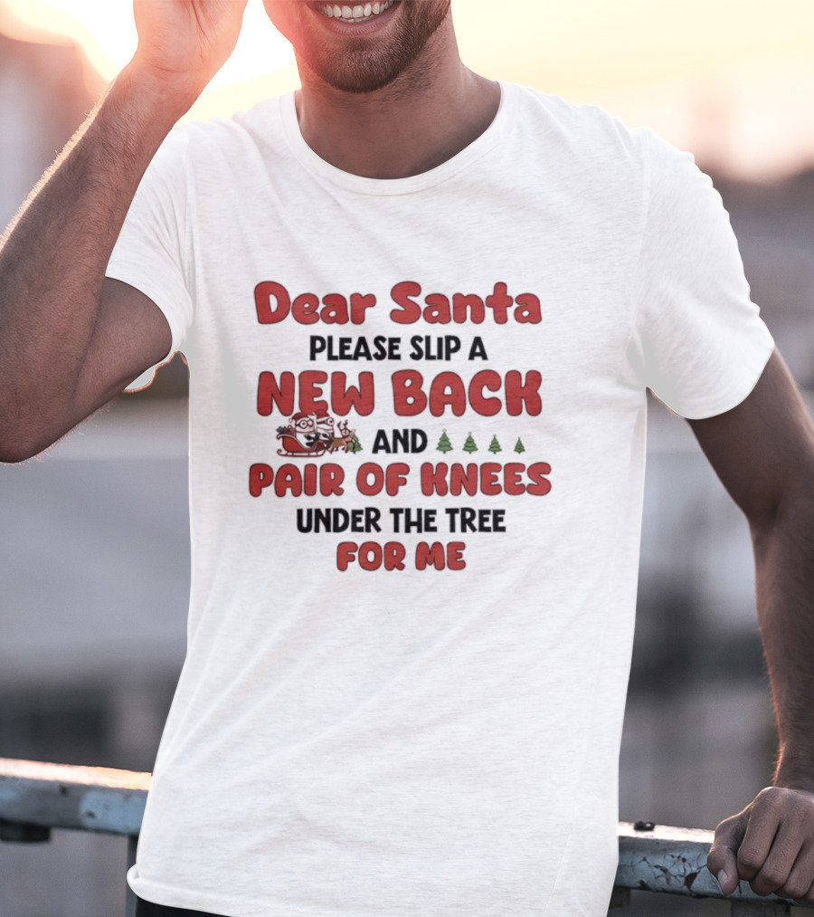 Dear Santa Please Slip A New Back And Pair Of Knees Under The Tree For Me T-Shirt