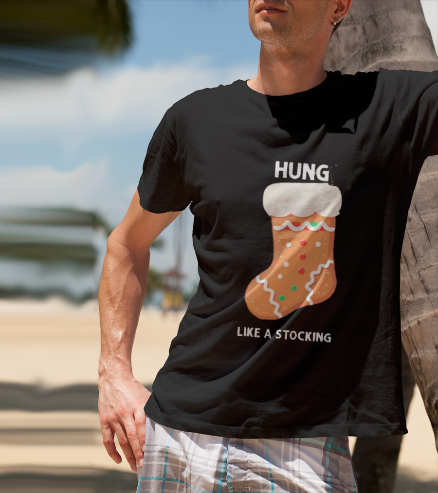 Hung Like A Stocking Gingerbread Christmas T-Shirt