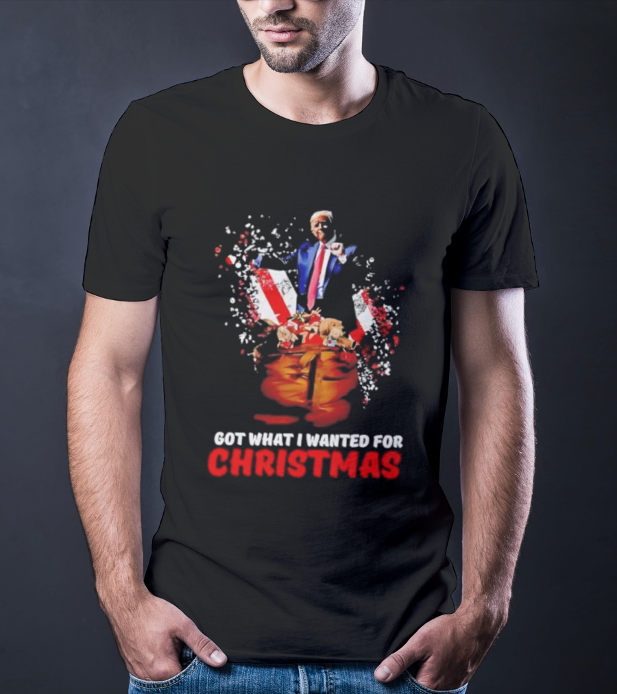 Trump Got What I Wanted For Christmas Santa Bag Fireworks T-Shirt