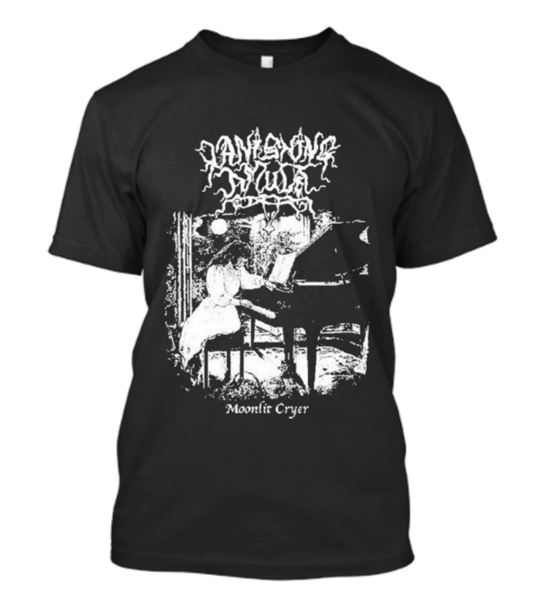 Vanishing Amulet Moonlit Cryer Dark Piano Aesthetic T-Shirt