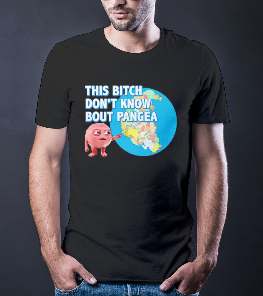 This Bitch Don't Know Bout Pangea Brain Meme Map T-Shirt