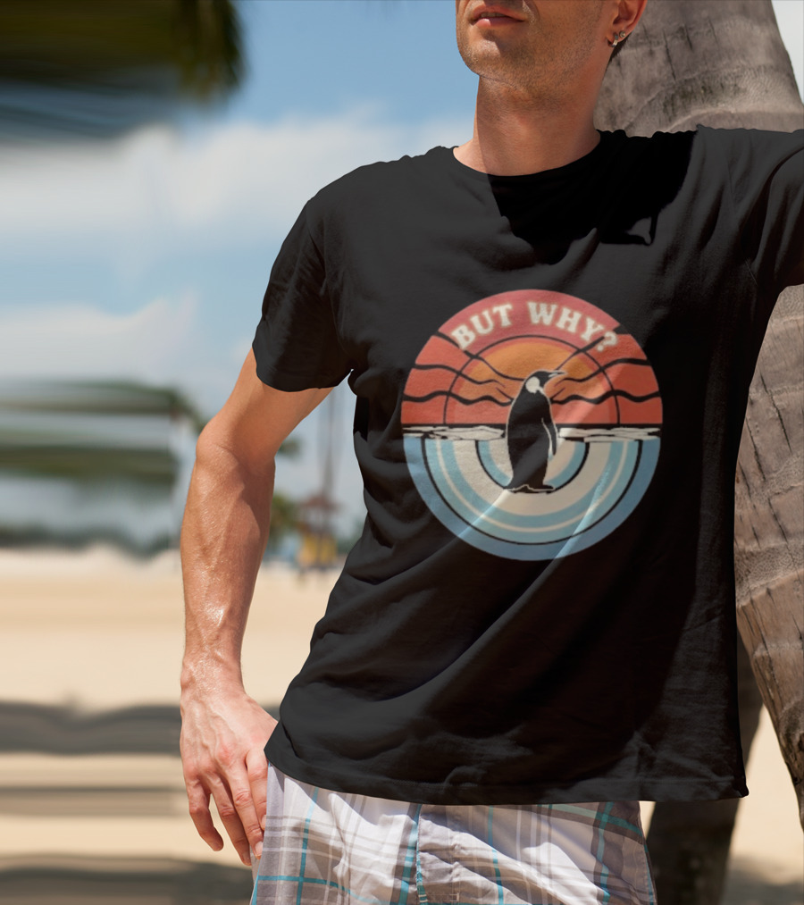 But Why Penguin Vintage Sunset Retro Ocean Waves T-Shirt