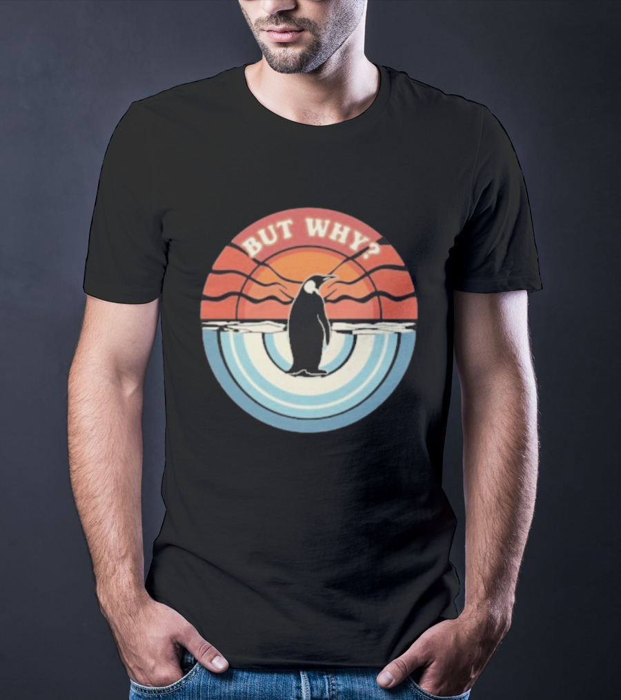 But Why Penguin Vintage Sunset Retro Ocean Waves T-Shirt