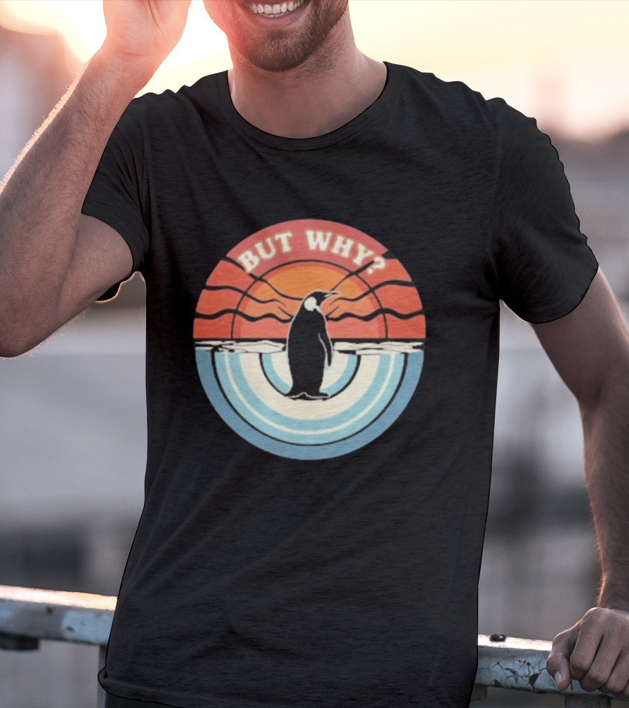 But Why Penguin Vintage Sunset Retro Ocean Waves T-Shirt