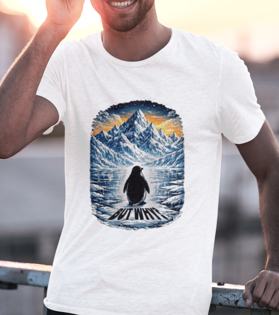 Viral Nihilist Penguin But Why Mountain Reflection T-Shirt