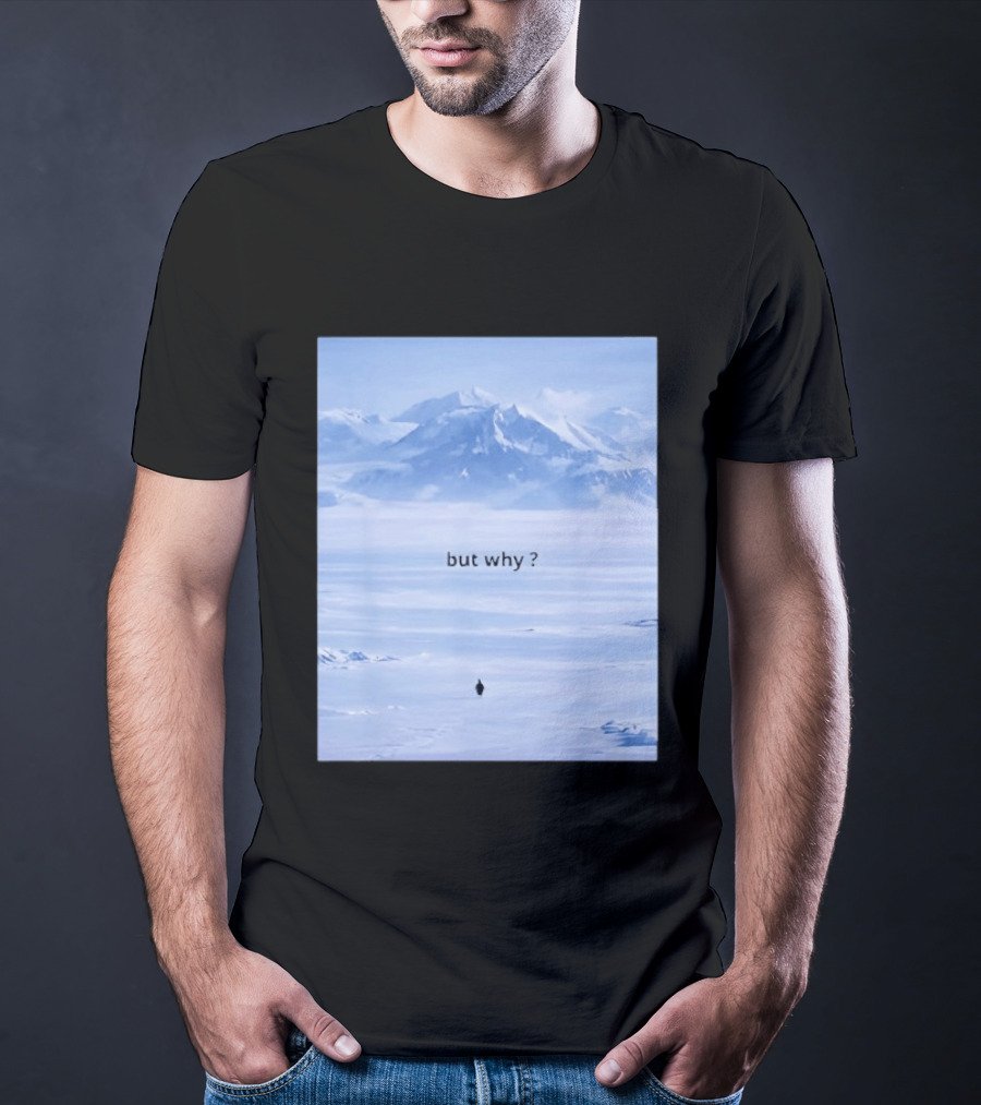 Penguin But Why Meme Snowy Mountains Motivational Scene T-Shirt