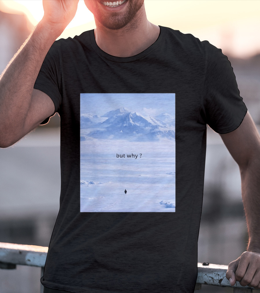 Penguin But Why Meme Snowy Mountains Motivational Scene T-Shirt