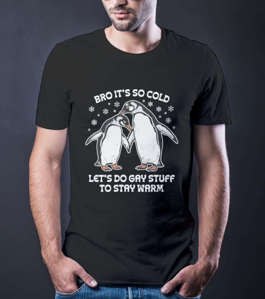 Bro It's So Cold Let's Do Gay Stuff To Stay Warm Penguins Snowflakes T-Shirt