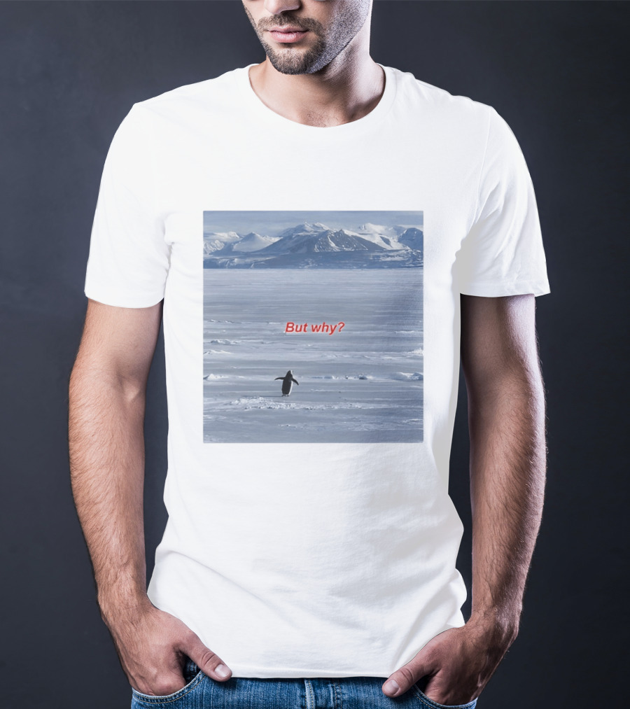 But Why Penguin Nihilist Scenic Antarctic Mountains T-Shirt
