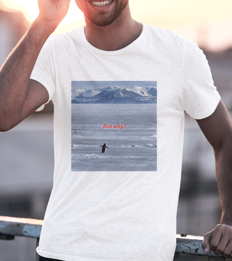 But Why Penguin Nihilist Scenic Antarctic Mountains T-Shirt