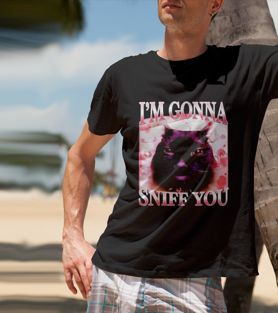 I'm Gonna Sniff You Cat Meme Valentine Aesthetic T-Shirt
