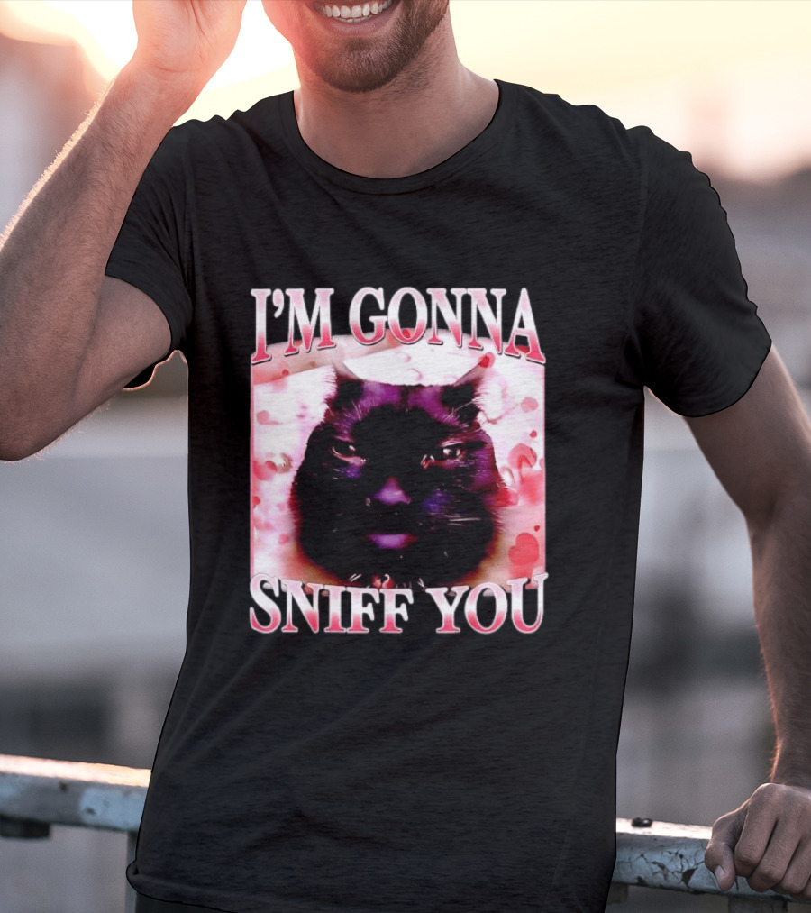 I'm Gonna Sniff You Cat Meme Valentine Aesthetic T-Shirt