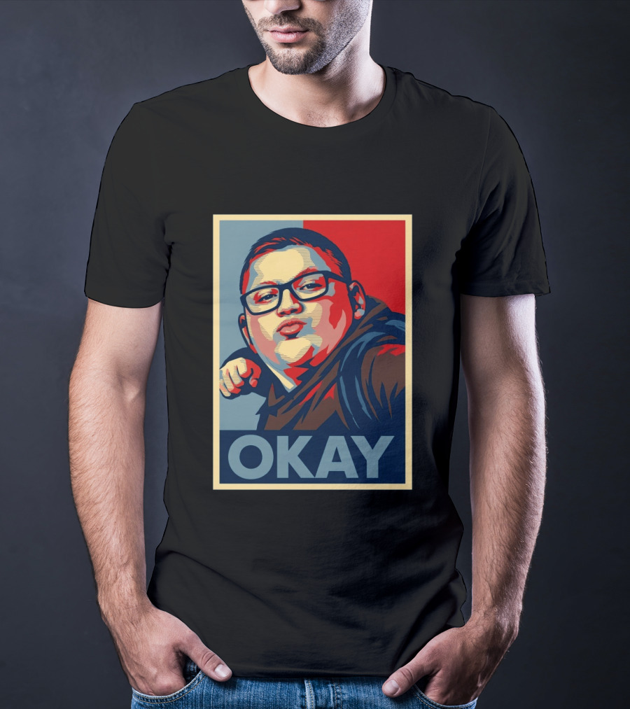 Okay Punch Kid Meme T-Shirt