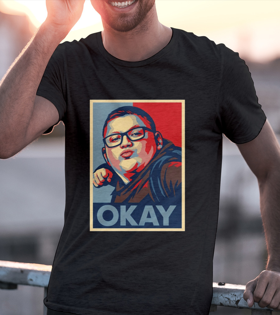 Okay Punch Kid Meme T-Shirt
