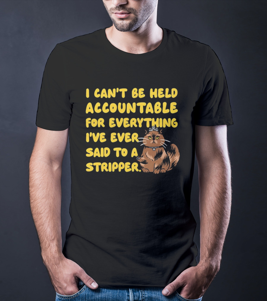 I Can't Be Held Accountable Cat Humor And Stripper T-Shirt