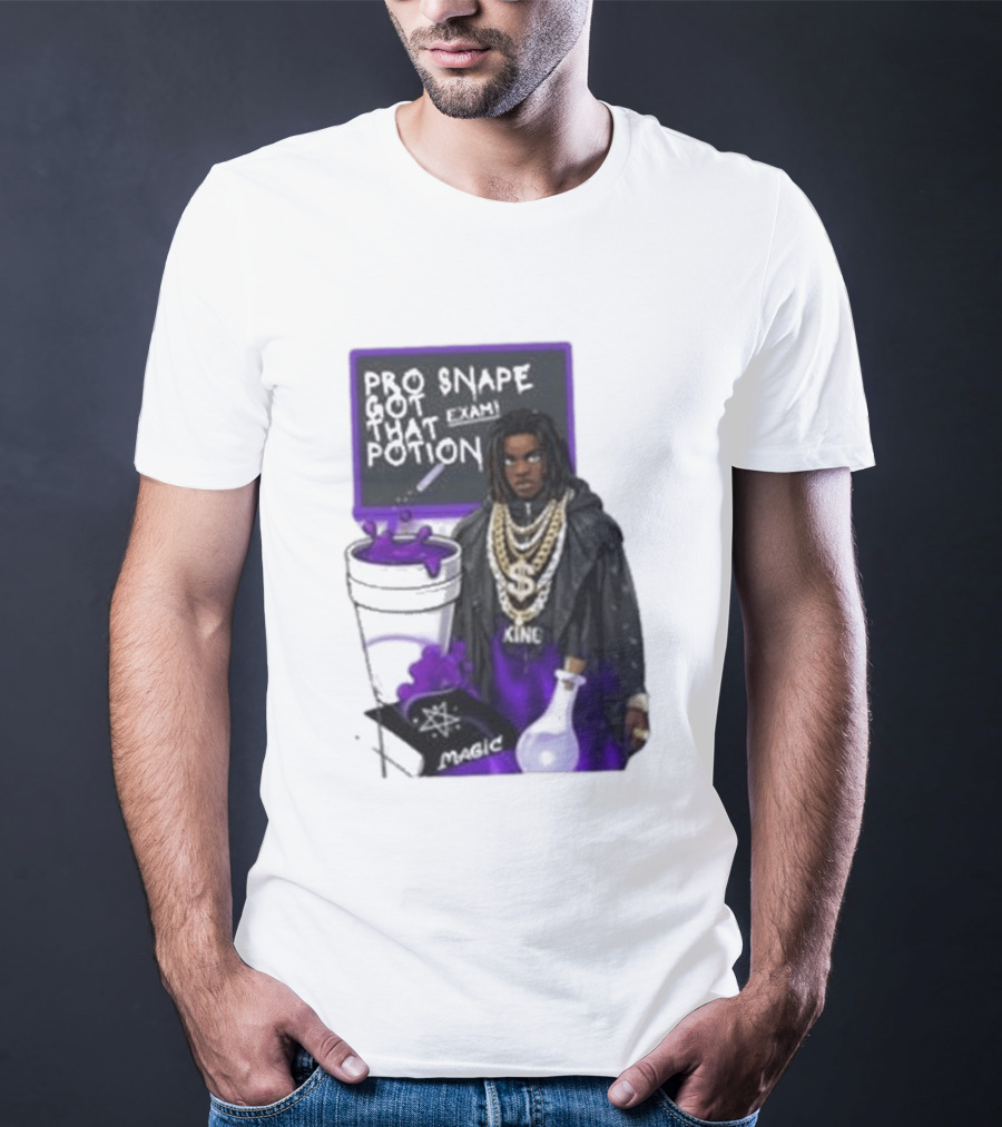 Pro Snape Got That Potion Magic Hip Hop Exam King T-Shirt