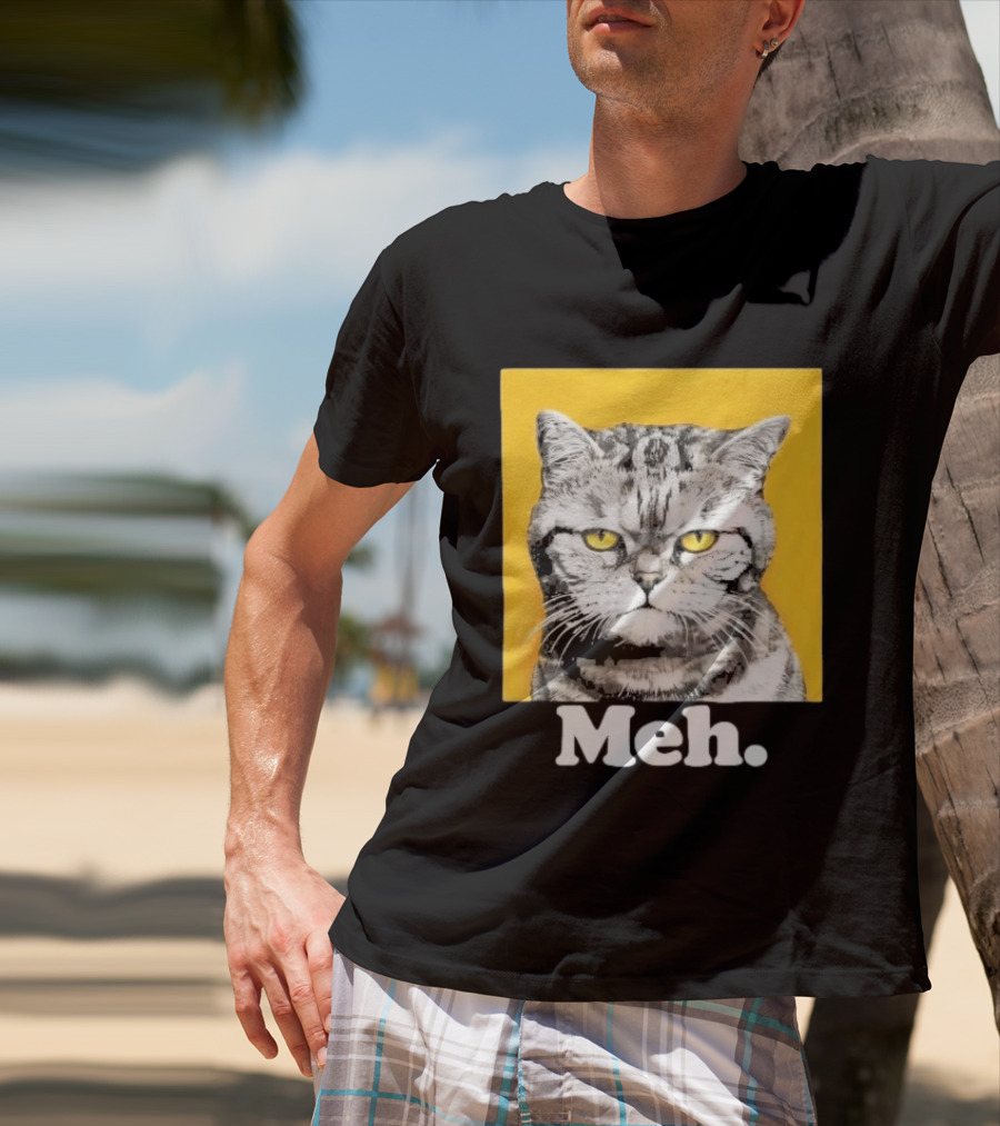 90 Day The Single Life Meh Cat T-Shirt