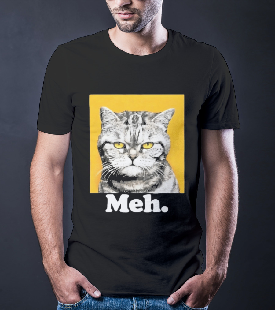 90 Day The Single Life Meh Cat T-Shirt