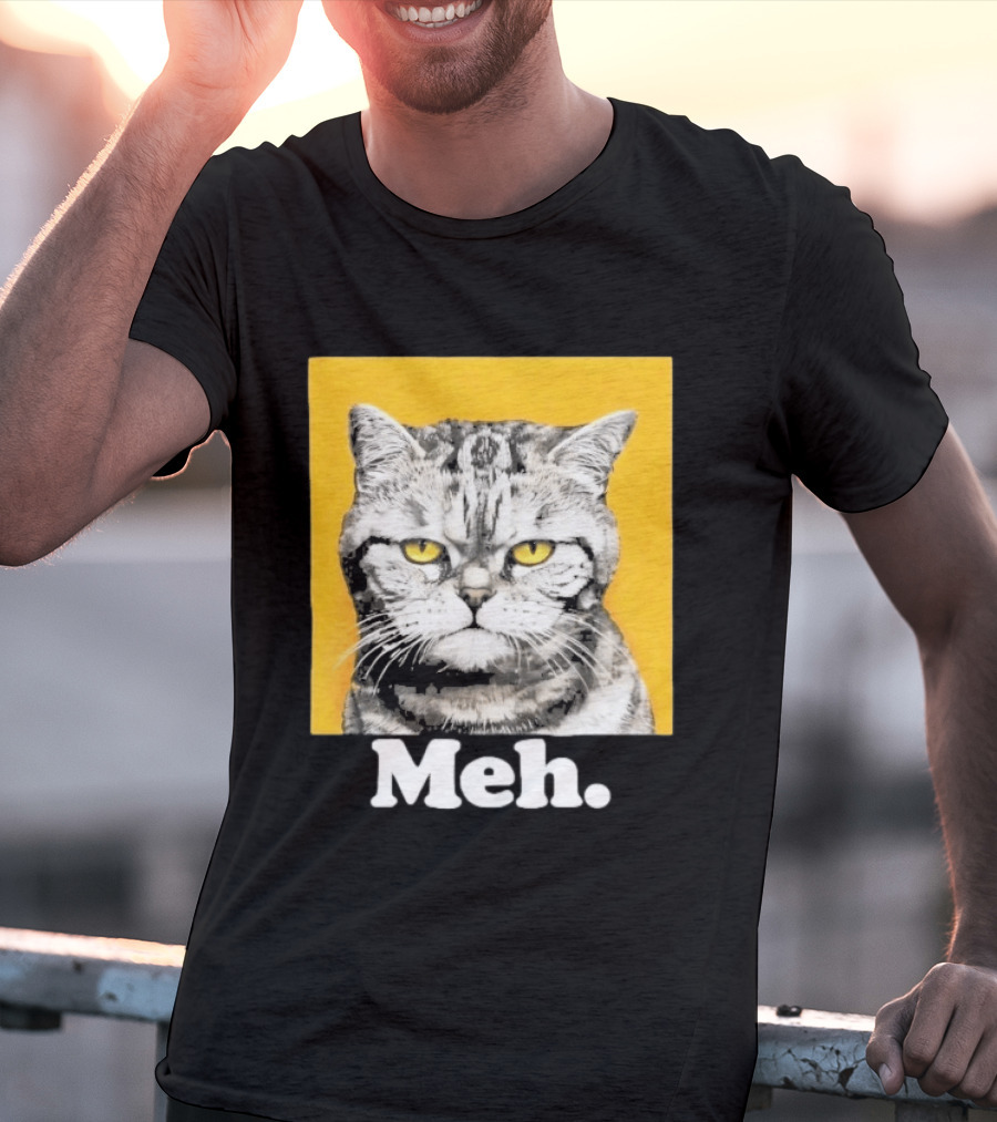 90 Day The Single Life Meh Cat T-Shirt