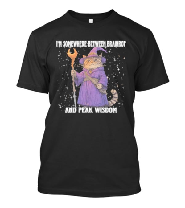I'm Somewhere Between Brainrot And Peak Wisdom Cat Wizard T-Shirt
