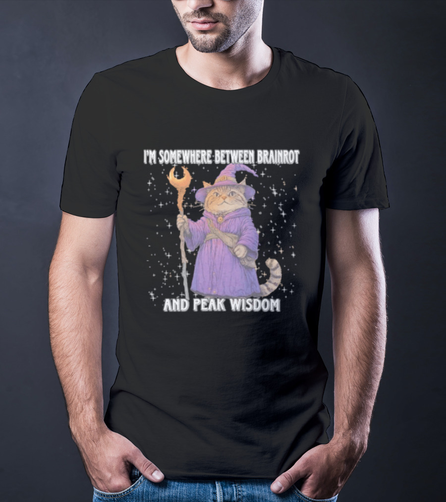 I'm Somewhere Between Brainrot And Peak Wisdom Cat Wizard T-Shirt