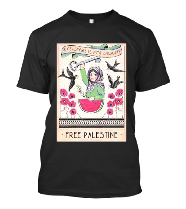 A Ceasefire Is Not Enough Free Palestine Sanction And Dismantle Israel End The Occupation Now T-Shirt
