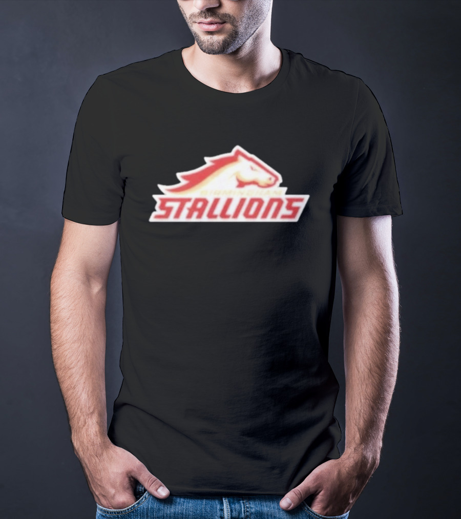 Mintzy Birmingham Stallions Team T-Shirt