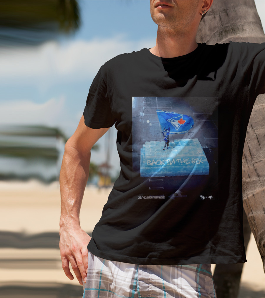 Toronto Blue Jays Back In The 6ix Ice Flag And Blocks T-Shirt