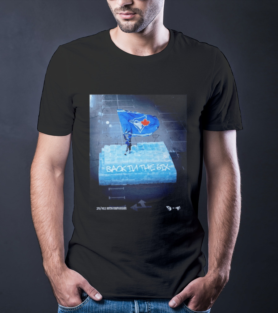 Toronto Blue Jays Back In The 6ix Ice Flag And Blocks T-Shirt