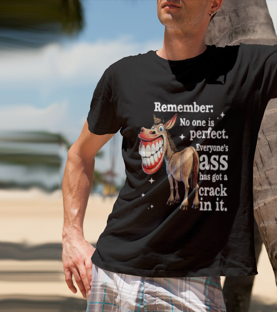 Remember No One Is Perfect Everyone's Ass Has Got A Crack In It Donkey T-Shirt