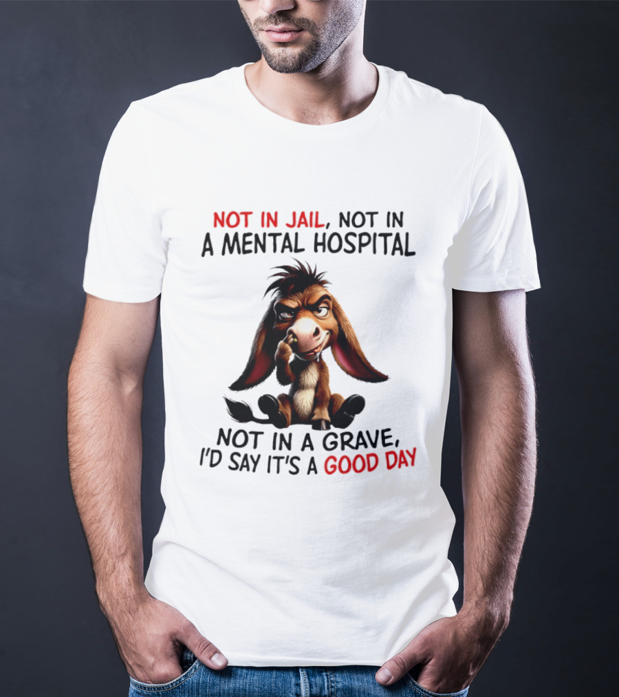 Donkey Not In Jail Not In A Mental Hospital Not In A Grave I'd Say It's A Good Day T-Shirt