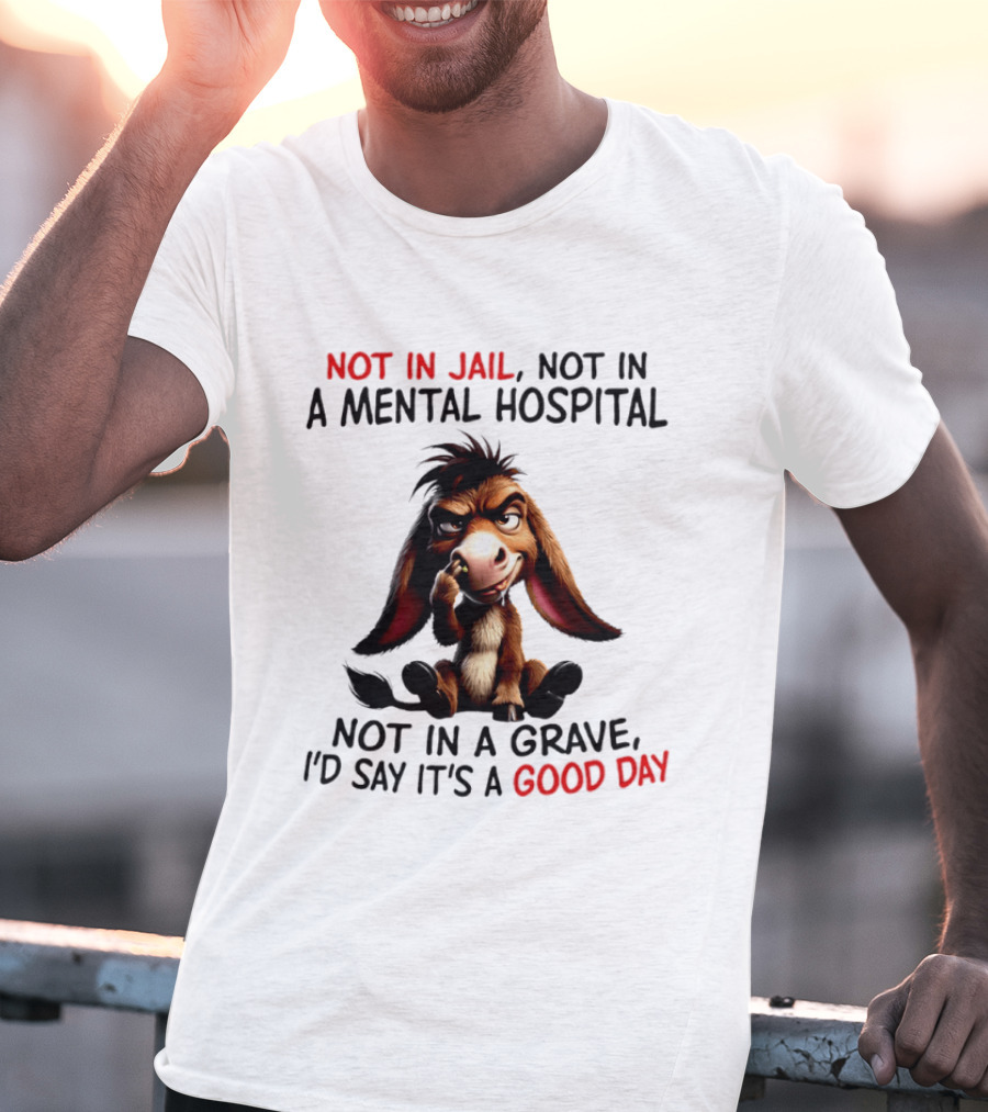 Donkey Not In Jail Not In A Mental Hospital Not In A Grave I'd Say It's A Good Day T-Shirt