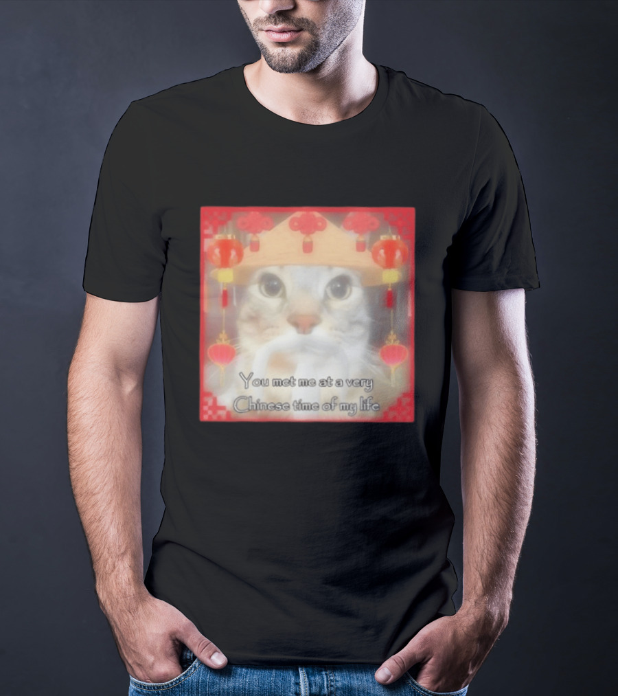 You Met Me At A Very Chinese Time Of My Life Cat Lanterns Hat T-Shirt