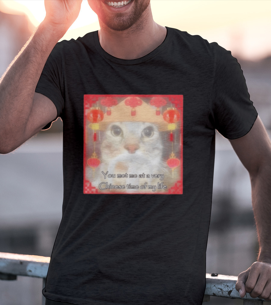 You Met Me At A Very Chinese Time Of My Life Cat Lanterns Hat T-Shirt