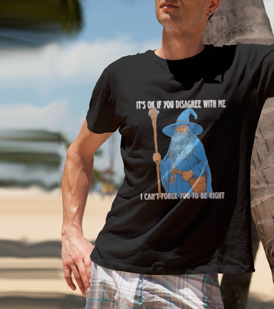 Wizard It's Ok If You Disagree With Me I Can't Force You To Be Right T-Shirt