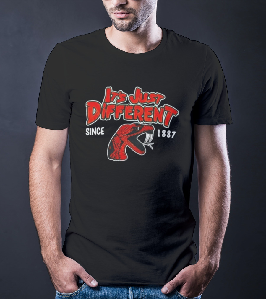 Florida A&M Rattlers It's Just Different Since 1887 T-Shirt
