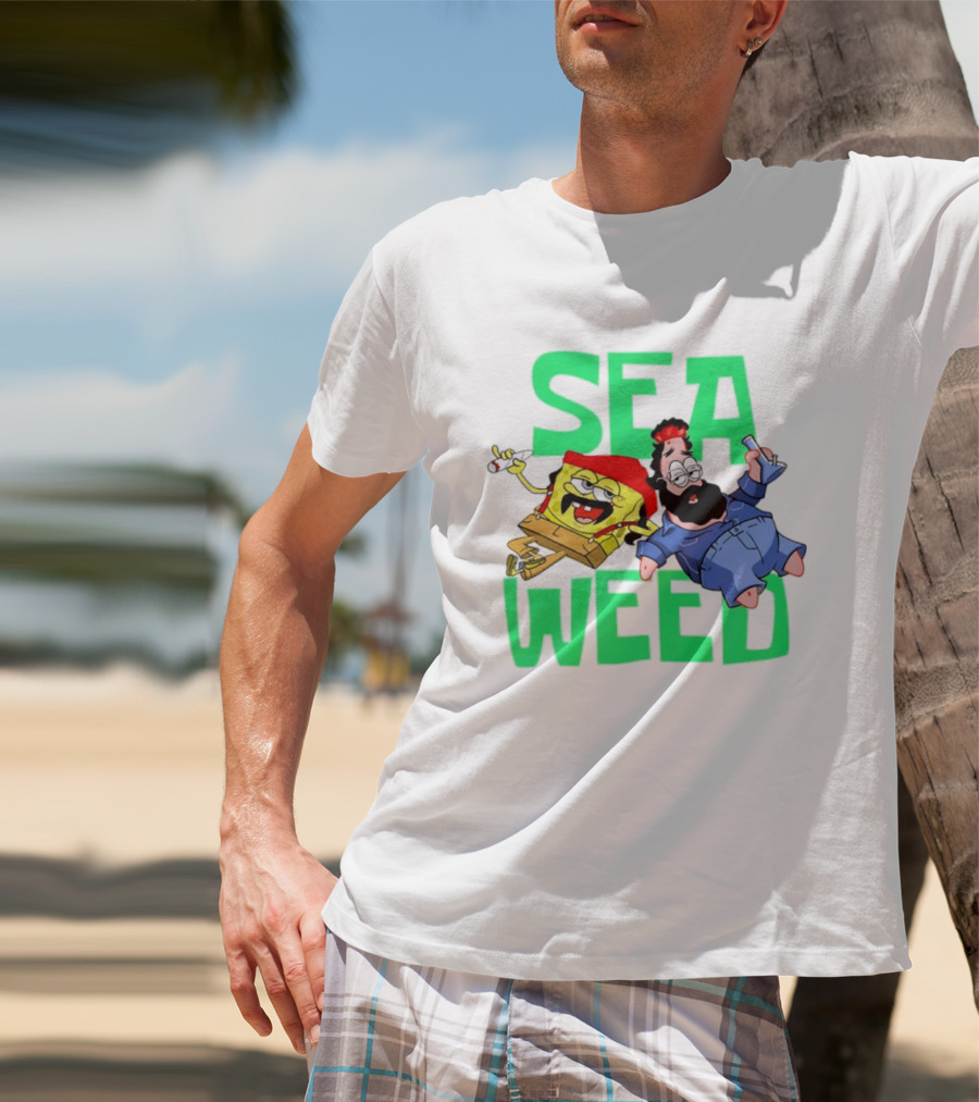 Sea Weed Sponge And Bearded Duo Cartoon Characters T-Shirt