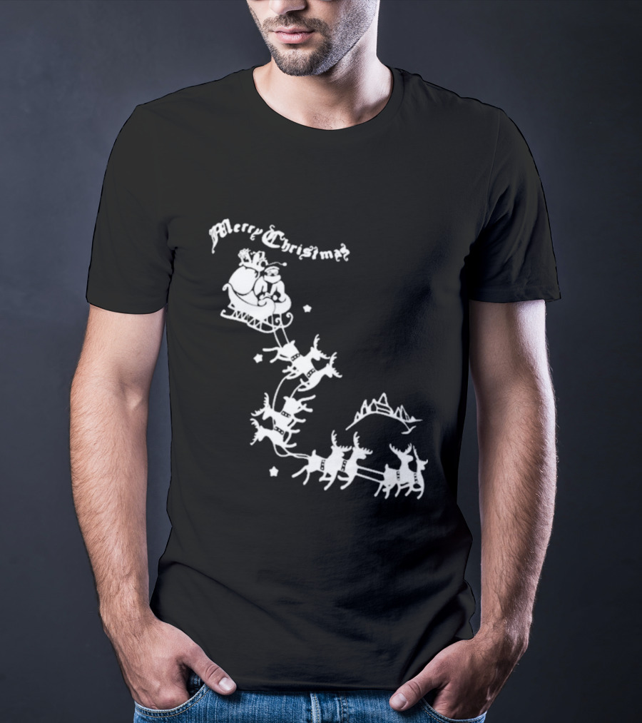 Merry Christmas Santa Sleigh Reindeer In Night Sky With Mountains Isla Gordon T-Shirt