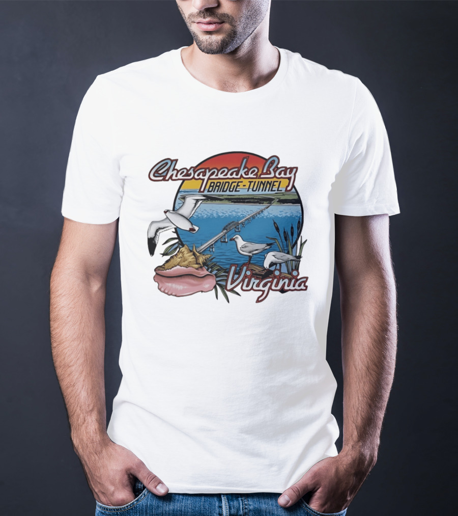 Chesapeake Bay Bridge Tunnel Virginia Seagulls Sunset Scene T-Shirt
