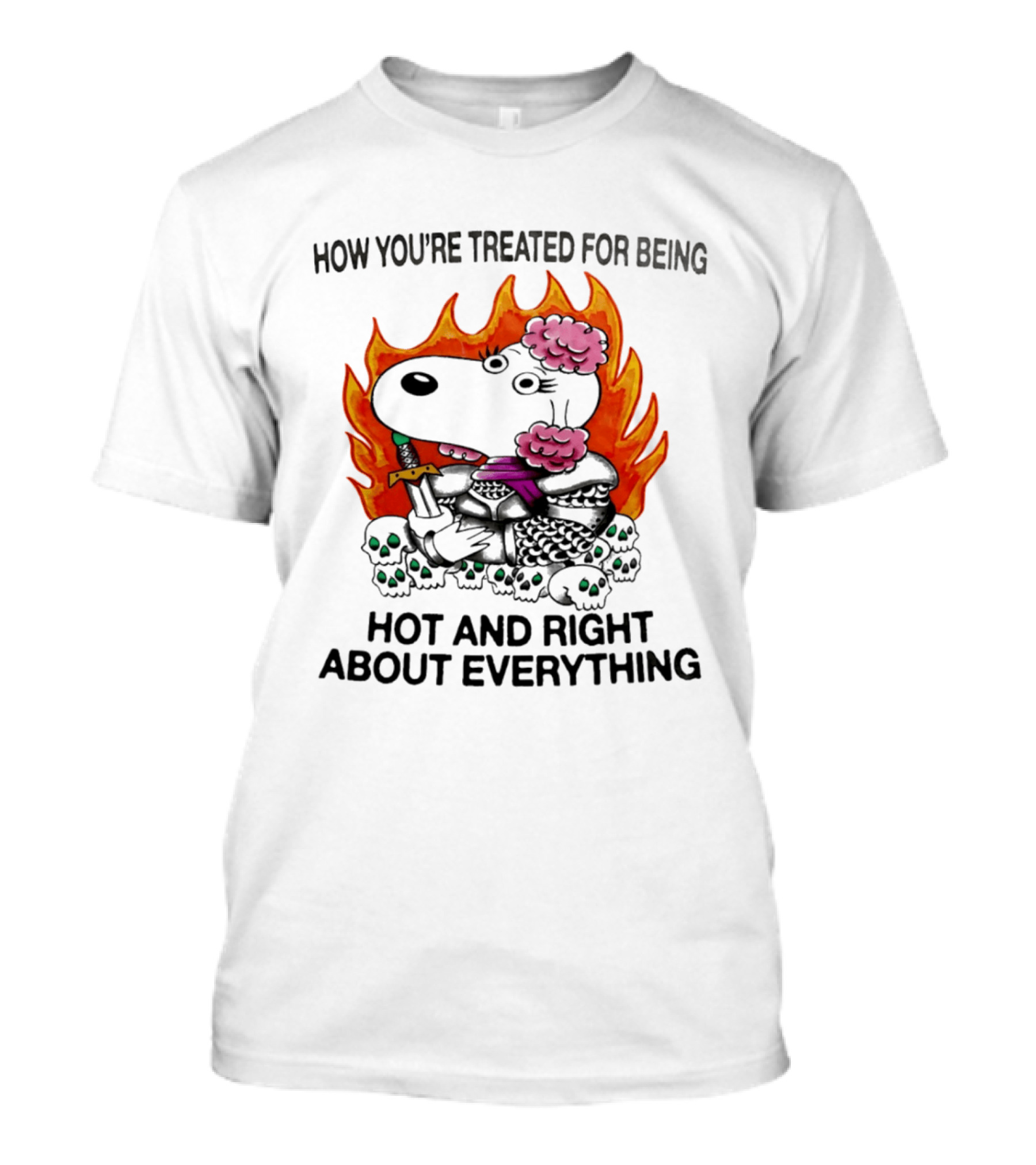Snoopy How You're Treated For Being Hot And Right About Everything Skulls Flames T-Shirt